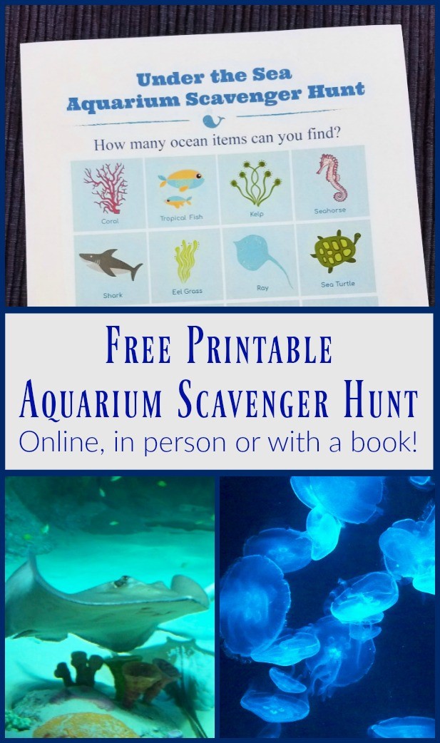 Aquarium Scavenger Hunt