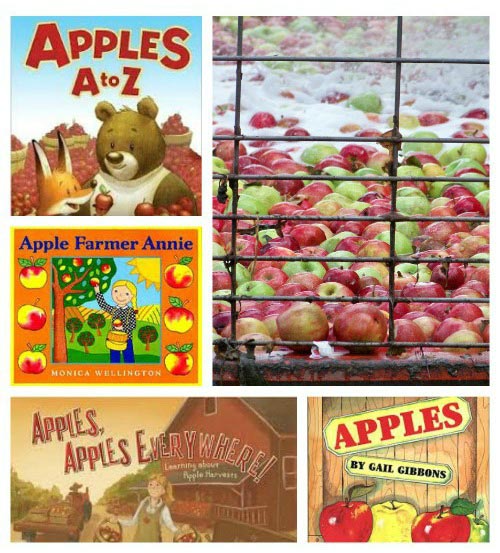 Apple themed lesson plan and unit for preschool, prek, kindergarten