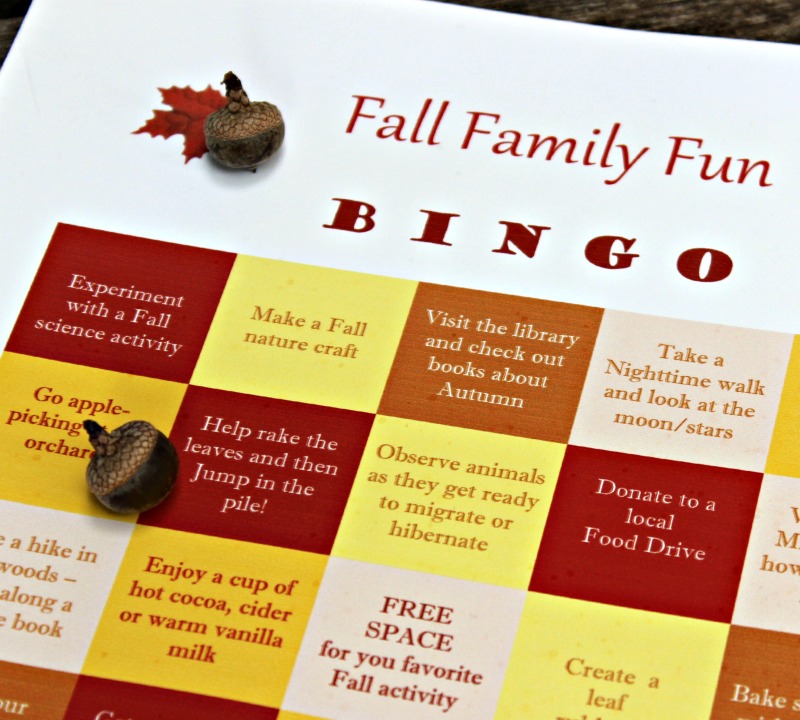 50 Cheap or Free Things to Do in Fall