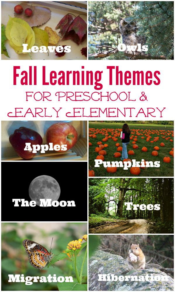 Fall themed activities for preschool, kindergarten, elementary