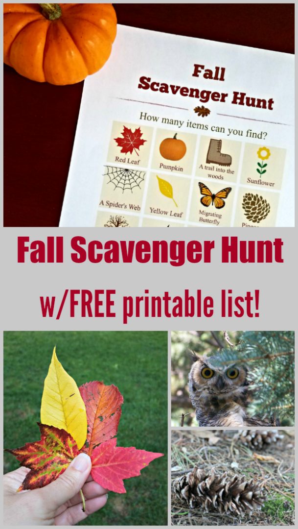 FREE Fall Scavenger Hunt (printable pdf list!)