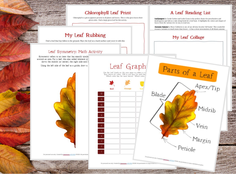 Leaf rubbing printable pdf
