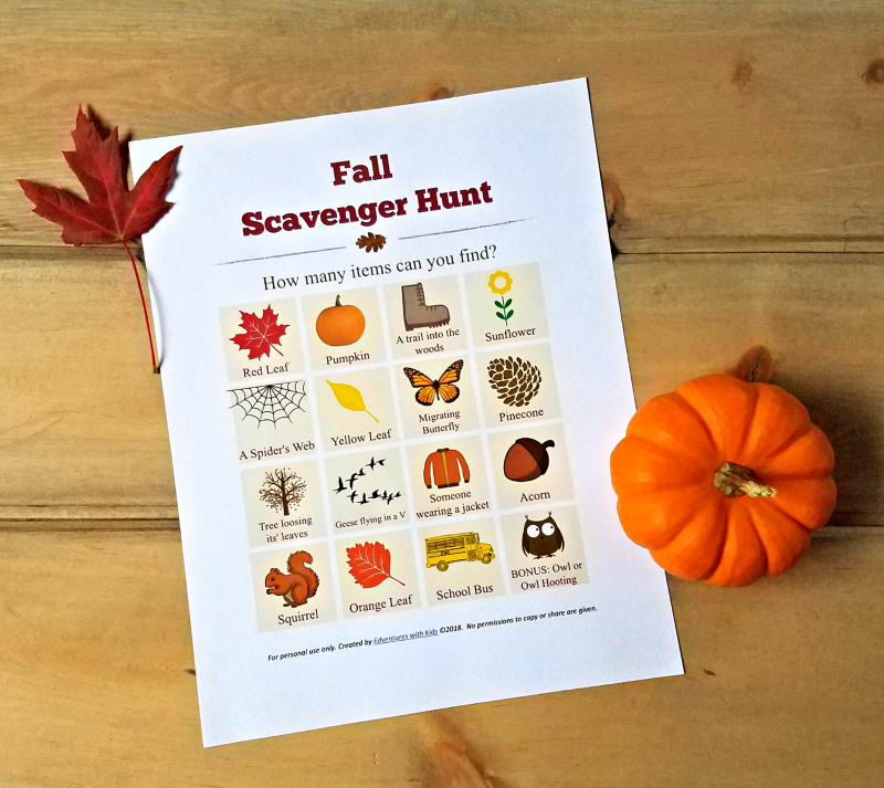Fall Scavenger Hunt printable for kids, tweens, teens or adults - fun family challenge too!