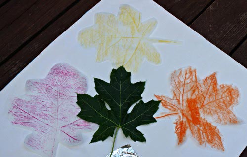 Leaf rubbings using different Art materials for kids