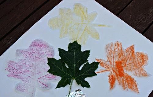 Explore Leaves and Make Rainbow Leaf Prints – Experiment Exchange