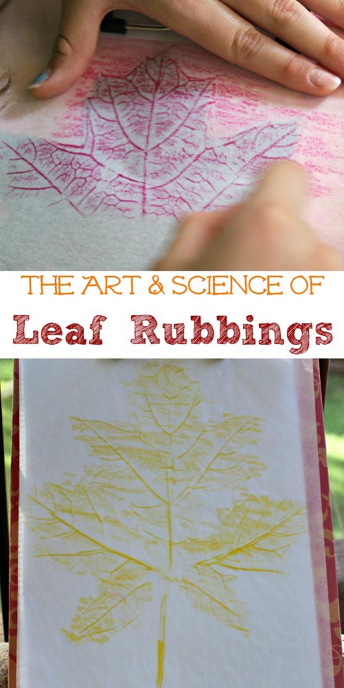 Leaf Rubbing with wax paper, crayons, foil, pencils and more - lesson plan for STEAM activity