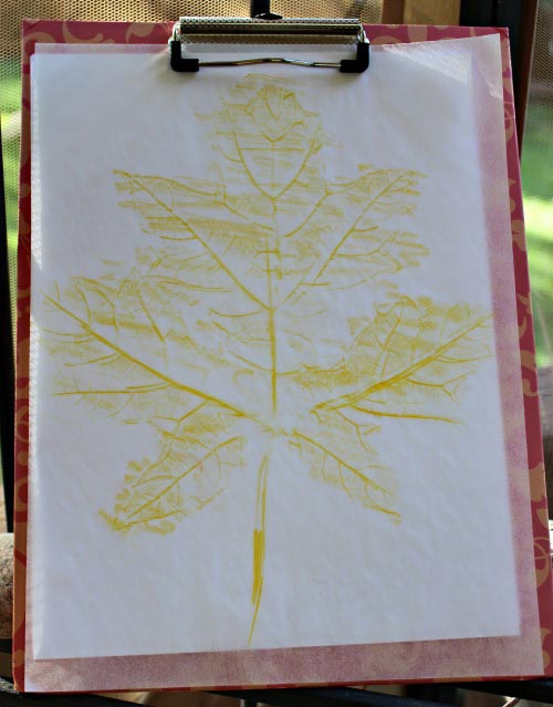 Leaf rubbings with colored pencil